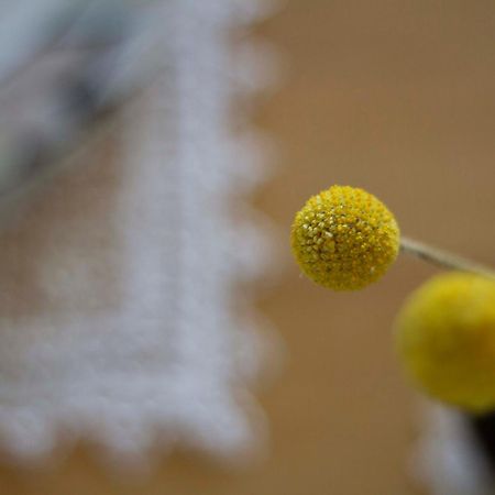 Oikos In Terre Di Zaccanello Racalmuto ภายนอก รูปภาพ